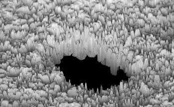 New Strontium-Loaded Scaffold Promotes Dental Implant Healing