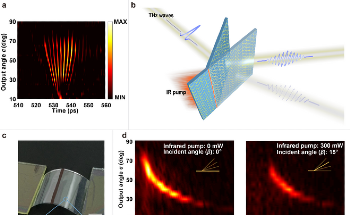 Steering An Active Terahertz Beam Using Liquid Crystal Elastomer