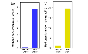 Key Molecular-Level Insights into the Role of Interfacial Water