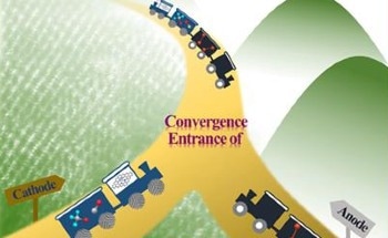 Innovative Convergent Paired Electrosynthesis May Impact CO2 Use