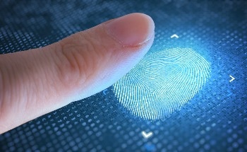 New Calibration Algorithm Developed for Technology that Turns Common Materials into Touch Sensors
