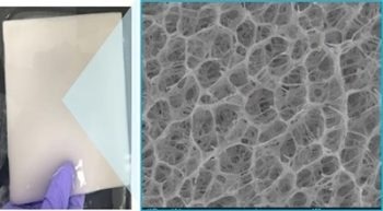 Purifying Water with a Solar-Driven Hydrogel Inspired by Loofah