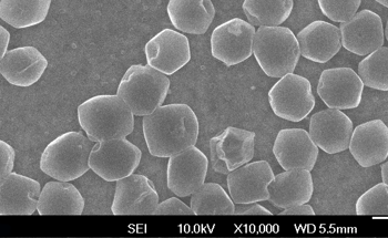 New Strategy to Develop High-Energy, Fast-Charging Li-Metal Batteries