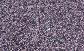 “Magic” Solvent Treatment to Strengthen Thin Films