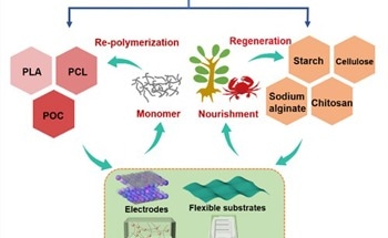 Biodegradable Polymers Proven Effective for Supercapacitors