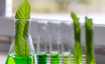 Using Light to Convert Lignin into Sustainable Plastic