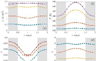 Insights into the Complex Interactions in PEM Fuel Cells