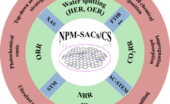Recent Developments in NPM-Sacs for the Electrocatalytic Field