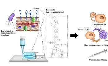 New Study Shows Low Endotoxin Biomaterials Improve Reliability of 3D In Vitro Models; Pave the Way for Reduced Animal Testing