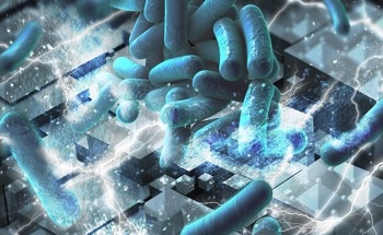 Fabricating a New Composite Material with Antimicrobial Properties