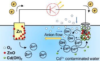 Novel Environmentally Friendly Battery System