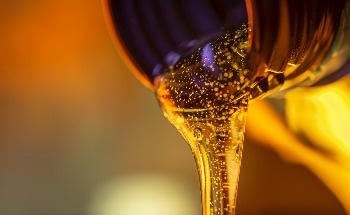 Microalgae Cultivated in the Lab for Producing Biofuel