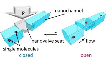 Manipulation of Single Molecules’ Flow in Solution