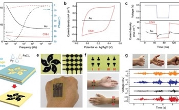 Development of Efficient Electroconductive Hydrogels
