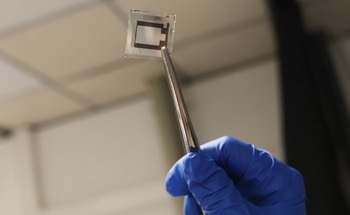 Modulating the Kinetics of Perovskite Film Growth with a Non-Volatile Additive