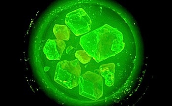 Radiation Detection and Imaging Boosted With New Hybrid Materials