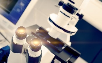 Researchers Use X-Ray Beams to Unlock a New Understanding of Old Materials