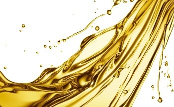 New Insights Could Lead to Reduction in Cost of Biofuel Production