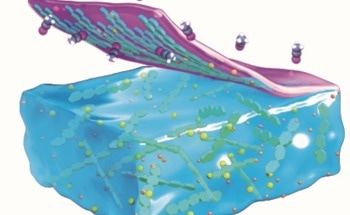 Scientists Find Inspiration in Milk to Make Conductive Gel Films
