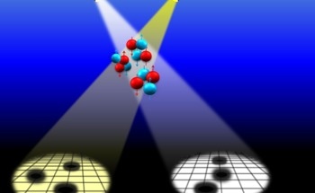 New Insights from Simulation on the Perplexing Hoyle State