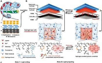 Chameleon-Inspired Near-Infrared Light-Writing Multicolor Hydrogel System