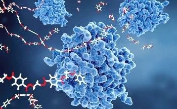 New Class of Chemicals Resolve Molecular Membrane Mystery