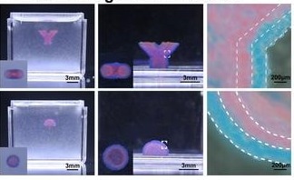 Novel Multi-Material Embedded Printing Method Offers Structural Integrity and Precision