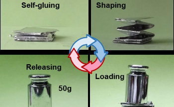 Developing Multifunctional Paper for Constructing Smart Devices