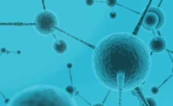 Versatile Computational Approach Fabricates Synthetic Materials With Desired Colors