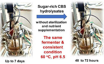 A Method to Use Agro-Waste Products to Obtain Lactic Acid