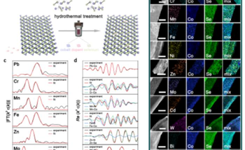 Facile Single Atom Doping Strategy to Modify HER Activity