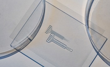 Engineering the Future of Implants: 3D Printable High-Performance Conducting Polymer Hydrogel