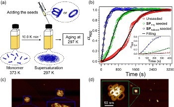 New Study Reveals Key to Sustainable, Eco-friendly Next-generation Polymers for Various Uses