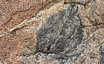 Topological Properties Discovered in Amorphous Materials