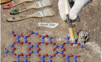 The Structure of Boron Monoxide Determined