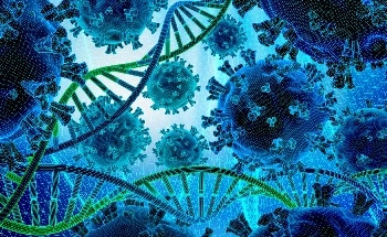 Fungi May Hold Key to New Drugs and Chemicals