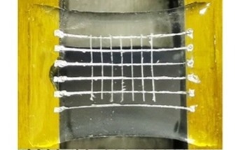 Ferroelectric Materials Get Elastic Recovery Through “Slight Crosslinking”