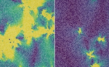 Microscopic Behavior of Glassy Materials Revealed