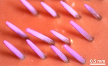 High-Efficiency Coating Technique for Biologically Active Materials