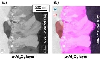 The Role of Peel-Resistant Protective Layers in Fusion Reactors