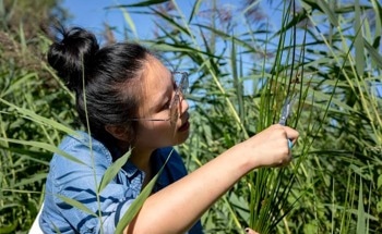 University Student Designs Self-Powered Sensor from Plants