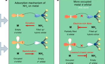 New Nickel Based AEMFC Anode Catalyst with High Resistance to NH3 Toxicity