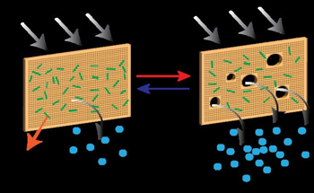 Self-Cleaning Membranes Improve Efficiency of Desalination Technologies