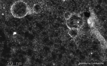 New Proton-Exchange Graphene Membrane Overcomes the “Crossover Phenomenon”