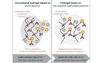 New Hydrogels Could Lead to More Stable and Efficient Sodium-Ion Batteries