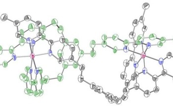 Dinuclear Ruthenium Complex as a Photocatalyst to Address Energy Crisis