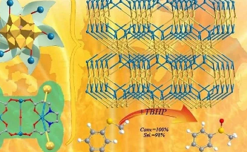 The Development of a New Polyoxometalate-Based Metal-Organic Complex