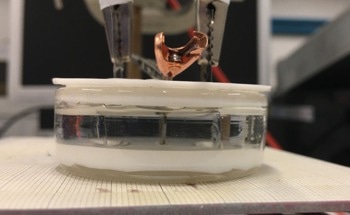 Paradigm Shift in Designing Wireless Nanobots