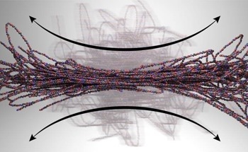 New Insights Into Polymer Flow Dynamics Could Enable Design of Advanced Materials