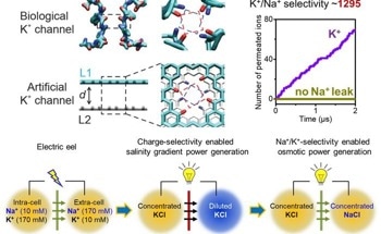 Electric-Eel-Inspired Mimetic Ionic Power Generation